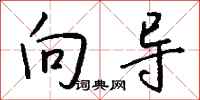 向导怎么写好看