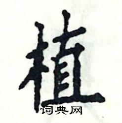 植怎么写好看