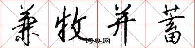 兼收并蓄怎么写好看