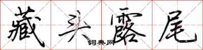 藏头露尾怎么写好看