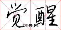 觉醒怎么写好看