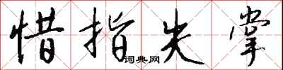 惜指失掌怎么写好看