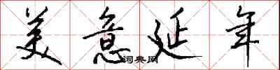 美意延年怎么写好看