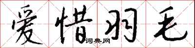 爱惜羽毛怎么写好看