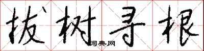 拔树寻根怎么写好看