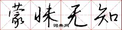 蒙昧无知怎么写好看