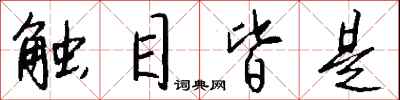 触目皆是怎么写好看