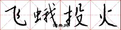 飞蛾投火怎么写好看