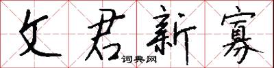 文君新寡怎么写好看