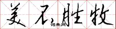 美不胜收怎么写好看