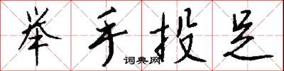 举手投足怎么写好看