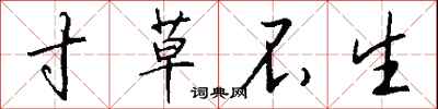 寸草不生怎么写好看