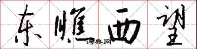 东瞧西望怎么写好看
