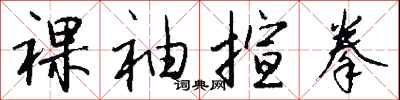 裸袖揎拳怎么写好看