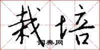 栽培怎么写好看