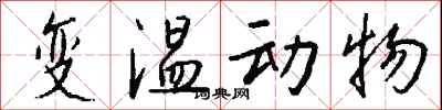 变温动物怎么写好看