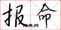 报命怎么写好看