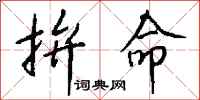 拚命怎么写好看