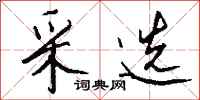 采选怎么写好看