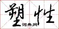 塑性怎么写好看