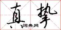 真挚怎么写好看