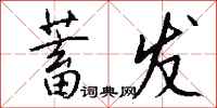 蓄发怎么写好看