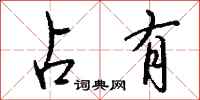 占有怎么写好看