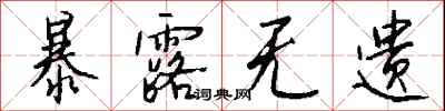 暴露无遗怎么写好看