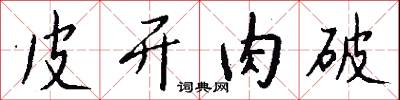 皮开肉破怎么写好看