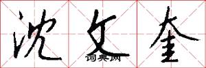 沈文奎怎么写好看