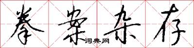 拳案杂存怎么写好看