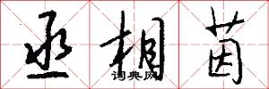 丞相茵怎么写好看
