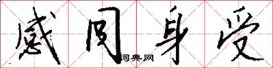感同身受怎么写好看