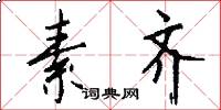 素齐怎么写好看