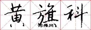 黄旗科怎么写好看
