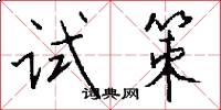 试策怎么写好看