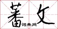 蕃文怎么写好看
