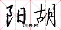 阳胡怎么写好看