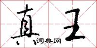 真王怎么写好看