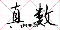 真数怎么写好看
