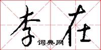 李在怎么写好看