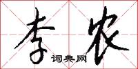 李农怎么写好看