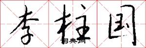 李柱国怎么写好看