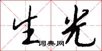 生光怎么写好看