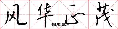 风华正茂怎么写好看