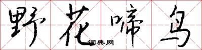 野花啼鸟怎么写好看