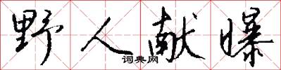 野人献曝怎么写好看