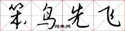 笨鸟先飞怎么写好看