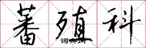 蕃殖科怎么写好看