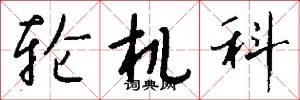 轮机科怎么写好看